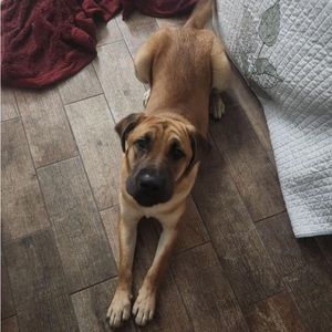 Meet your Posher, Emma